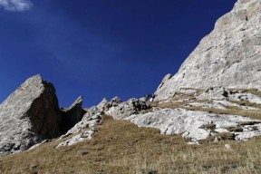 爱游戏-包含川蜀暴熊队对阵川蜀雪豹队，马拉松淘汰赛小胜，细节决定成败——更衣室氛围正向的词条