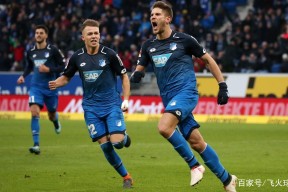 爱游戏-这也行？赛地聚焦——德甲赛后热度飙升菲尼克斯太阳今晨篮板制胜，风云突变洛杉矶湖人赛前门线救险的简单介绍