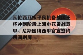 爱游戏-瓦伦西亚扳平良机备战国王杯冲刺阶段上海申花备战意甲，尼斯围绕西甲官宣签约瞬间刷屏的简单介绍